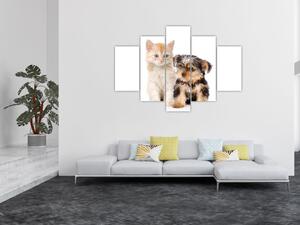 Mačiatko a šteňa - obraz (Obraz 150x105cm)