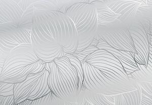 Fototapeta - Strieborné obrysy listov (147x102 cm)