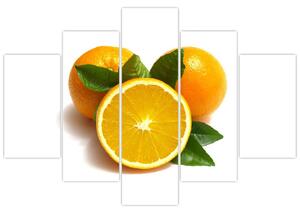 Pomaranče - obraz (Obraz 150x105cm)