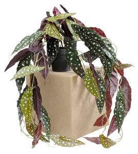 Begonia umelá rastlina zelená 45 cm