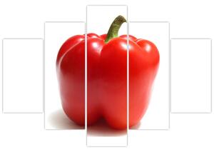 Paprika červená, obraz (Obraz 150x105cm)