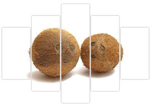 Kokosový orech, obraz (Obraz 150x105cm)