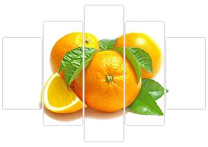 Pomaranče, obraz (Obraz 150x105cm)