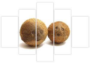 Kokosový orech, obraz (Obraz 150x105cm)