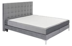 Benito Star posteľ sivá 160x200 cm