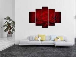 Makro ruža - obraz (Obraz 150x105cm)