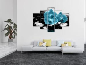 Obraz orchidey (Obraz 150x105cm)