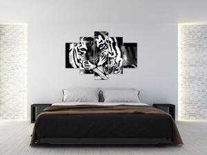 Tiger s mláďaťom, obraz (Obraz 150x105cm)