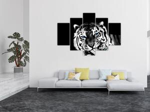 Obraz tigra s mláďaťom (Obraz 150x105cm)