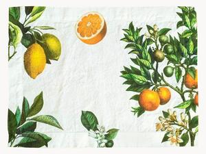 Ľanové prestierania Citruses, 2 ks