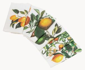 Ľanové obrúsky Citrus, 6 ks