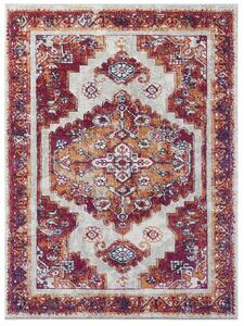 Nouristan - Hanse Home koberce Kusový koberec Lugar 104085 Raspberry Red - 120x170 cm