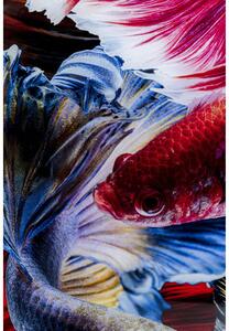 Colorful Swarm Fish sklenený obraz viacfarebný