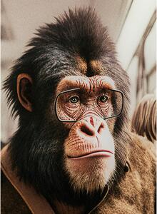 Commuter Monkey obraz viacfarebný 60x60 cm