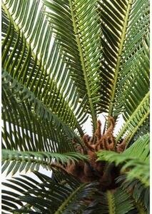Cycas Tree umelá rastlina zelená 78 cm