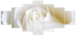 Obraz biele ruže (Obraz 210x100cm)