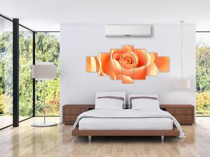 Obraz oranžové ruže (Obraz 210x100cm)