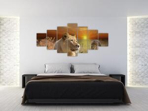Obrazy zvierat (Obraz 210x100cm)
