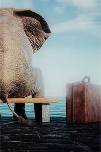Elephant Journey obraz viacfarebný 60x40 cm