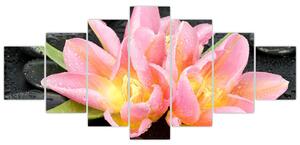 Obraz kvetov (Obraz 210x100cm)