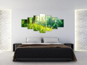 Moderné obrazy prírody (Obraz 210x100cm)