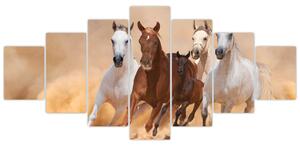 Obrazy bežiacich koní (Obraz 210x100cm)