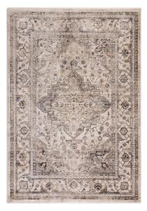 Béžový koberec 160x240 cm Sovereign – Asiatic Carpets