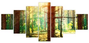 Moderný obraz - les (Obraz 210x100cm)