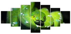 Obraz zvierat - had (Obraz 210x100cm)