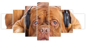 Moderný obraz - pes so slúchadlami (Obraz 210x100cm)