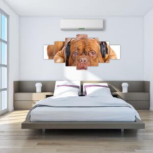 Moderný obraz - pes so slúchadlami (Obraz 210x100cm)