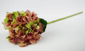 Colmore by Diga Dekorácie ružovo-zelená hortenzie - 80 cm