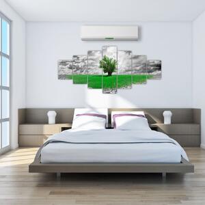Zelený ostrov vo vyprahnutej krajine - obrazy do obývačky (Obraz 210x100cm)