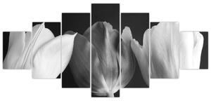 Čiernobiely obraz - tri tulipány (Obraz 210x100cm)