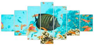 Obraz rýb v akváriami (Obraz 210x100cm)