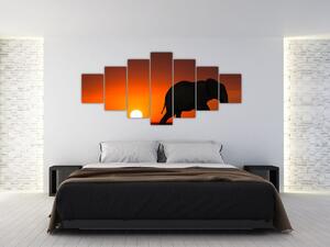 Obraz slona v zapadajúcom slnku (Obraz 210x100cm)