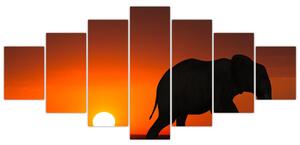 Obraz slona v zapadajúcom slnku (Obraz 210x100cm)
