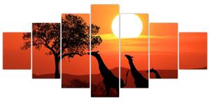 Obraz žirafy pri západe slnka (Obraz 210x100cm)