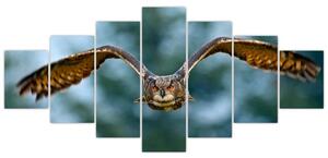 Obraz letiaci sovy (Obraz 210x100cm)
