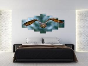 Obraz letiaci sovy (Obraz 210x100cm)