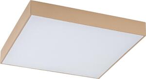 Rabalux 77000 - LED kúpeľňové stropné svietidlo TARTU 24W/230V 2800/4000/6000K IP44