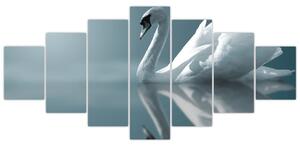 Obraz: labuť (Obraz 210x100cm)