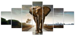 Obraz kráčajúceho slona (Obraz 210x100cm)