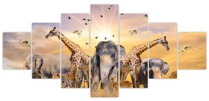 Obraz - safari (Obraz 210x100cm)
