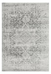Sivý koberec 80x150 cm Nova – Asiatic Carpets