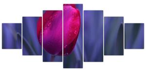 Obraz - tulipán (Obraz 210x100cm)