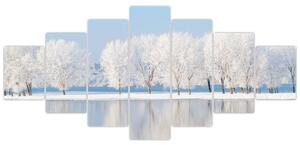 Obraz - zimná príroda (Obraz 210x100cm)