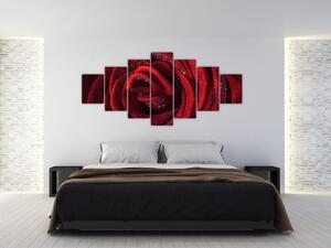 Obraz červené ruže (Obraz 210x100cm)