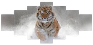Obraz bežiaceho tigra (Obraz 210x100cm)