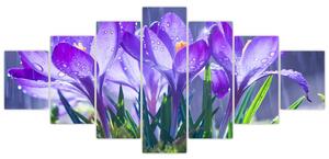 Obraz kvetov pri daždi (Obraz 210x100cm)